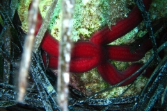 chorwacja-10-2015_62_20151111_1310717483