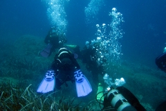 chorwacja-10-2015_63_20151111_1569157774