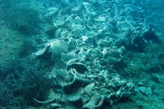 chorwacja-10-2015_65_20151111_1809297757