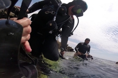 dahab-05-2018_120_20180601_1566888325