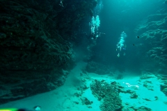 dahab-05-2018_123_20180601_1326978477