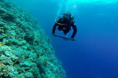 dahab-05-2018_126_20180601_1041368210