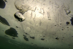 piechcin-02-2014_20140212_1640204195