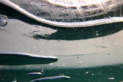 piechcin-02-2014_20140212_1669739653