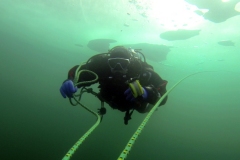 piechcin-02-2014_20140212_1733418765