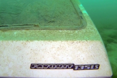 piechcin-02-2014_20140212_1829522103