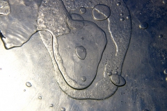 piechcin-02-2014_20140212_1841651871