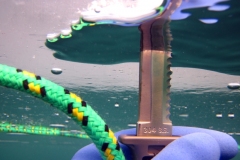 piechcin-02-2014_20140212_1858490562