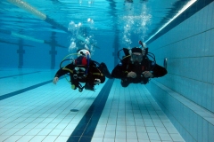 owd-2018-01-2-3_15_20180308_1051193533