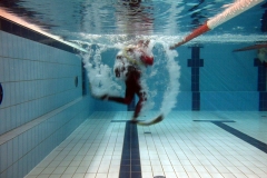 owd-2018-01-2-3_25_20180308_1807214747