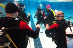 owd-2018-01-2-3_32_20180308_1452520125