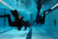 owd-2018-01-2-3_5_20180308_1792200131