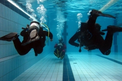 owd-2018-01-2-3_8_20180308_1745588639