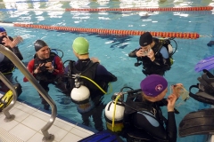 owd-2018-01_30_20180128_1007227256