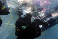 owd-2018-01_32_20180128_1908078376