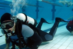 owd-2018-01_48_20180128_1506491584