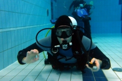 owd-2018-01_50_20180128_1131362144