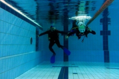 owd-2018-01_51_20180128_1318055586