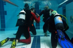 owd-2018-01_54_20180128_1695052238