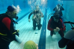 owd-2018-01_58_20180128_1698548810