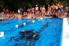 szczliwice_na_powierzchni_4_sierpnia_2013_20130807_1385814762