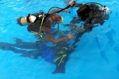 szczliwice_na_powierzchni_4_sierpnia_2013_20130807_1405125511