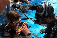 szczliwice_na_powierzchni_4_sierpnia_2013_20130807_1416470185