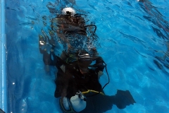 szczliwice_na_powierzchni_4_sierpnia_2013_20130807_1428786683