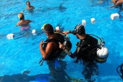 szczliwice_na_powierzchni_4_sierpnia_2013_20130807_1432688322