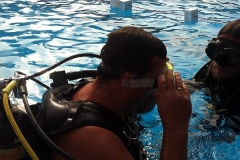 szczliwice_na_powierzchni_4_sierpnia_2013_20130807_1486388397