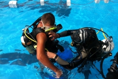 szczliwice_na_powierzchni_4_sierpnia_2013_20130807_1502096883