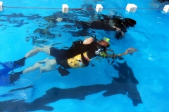 szczliwice_na_powierzchni_4_sierpnia_2013_20130807_1506605705