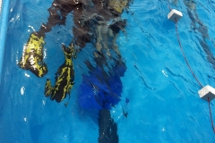 szczliwice_na_powierzchni_4_sierpnia_2013_20130807_1550696167