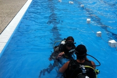 szczliwice_na_powierzchni_4_sierpnia_2013_20130807_1554872293