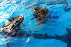 szczliwice_na_powierzchni_4_sierpnia_2013_20130807_1560002688