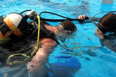 szczliwice_na_powierzchni_4_sierpnia_2013_20130807_1590553172