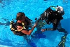 szczliwice_na_powierzchni_4_sierpnia_2013_20130807_1592589481