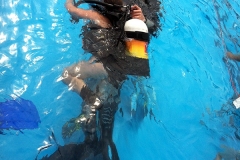 szczliwice_na_powierzchni_4_sierpnia_2013_20130807_1596771093