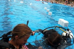 szczliwice_na_powierzchni_4_sierpnia_2013_20130807_1619080626