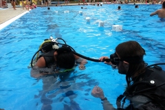 szczliwice_na_powierzchni_4_sierpnia_2013_20130807_1644627256