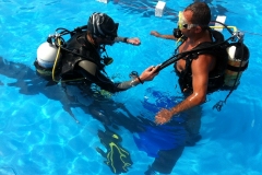 szczliwice_na_powierzchni_4_sierpnia_2013_20130807_1645443457