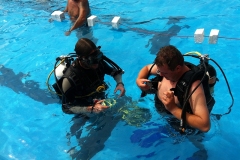 szczliwice_na_powierzchni_4_sierpnia_2013_20130807_1692070229