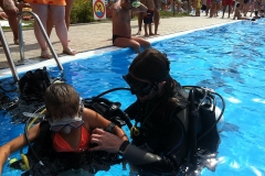 szczliwice_na_powierzchni_4_sierpnia_2013_20130807_1696560017