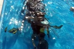 szczliwice_na_powierzchni_4_sierpnia_2013_20130807_1723124622