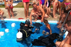 szczliwice_na_powierzchni_4_sierpnia_2013_20130807_1724249658