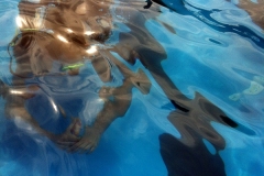 szczliwice_na_powierzchni_4_sierpnia_2013_20130807_1724837884