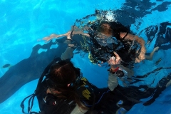 szczliwice_na_powierzchni_4_sierpnia_2013_20130807_1752599894