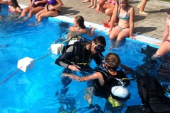 szczliwice_na_powierzchni_4_sierpnia_2013_20130807_1754071959