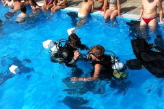 szczliwice_na_powierzchni_4_sierpnia_2013_20130807_1756619896