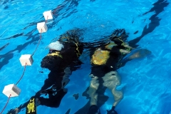 szczliwice_na_powierzchni_4_sierpnia_2013_20130807_1775135373